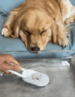 Velnok™ PetAura Pet Grooming Brush